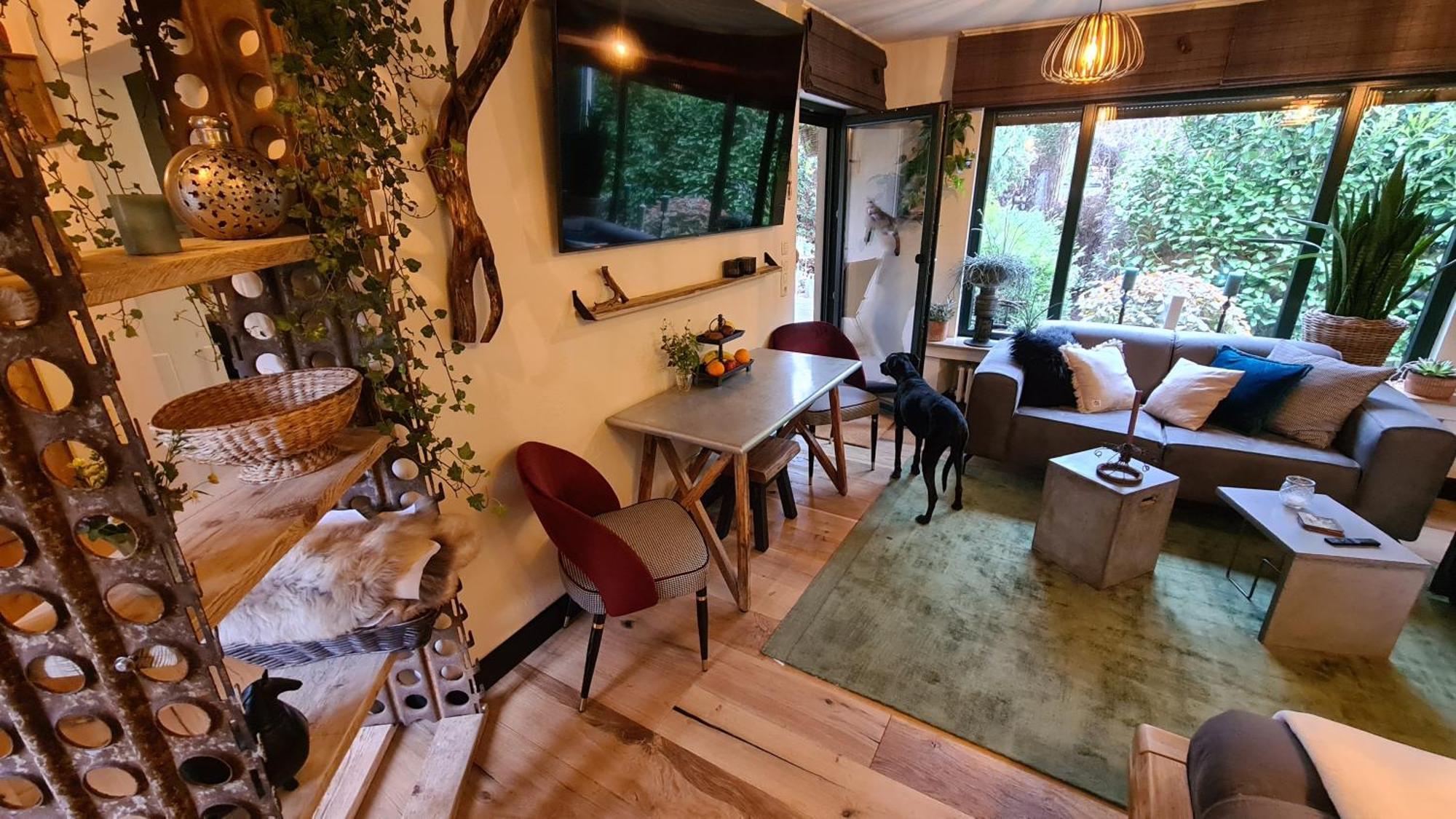 Boutique Apartments Benz I-Iii ベルギッシュ・グラートバッハ エクステリア 写真